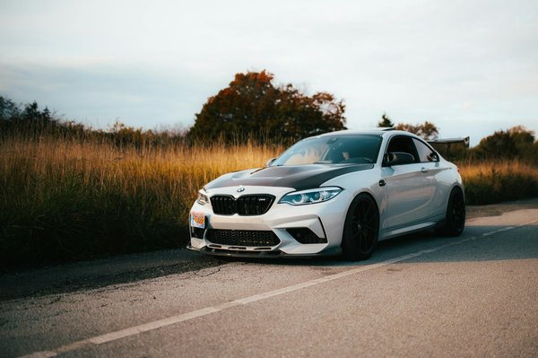 How Can UK Pet Owners Improve the Well-Being of Their Animal Companions?